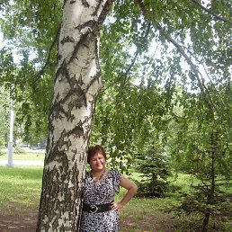 , 64, 