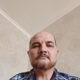 , 46 , 