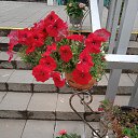���� ���������, ����� - ��������� 21 �������� 2025 � ������ ������ ������, �� ����������