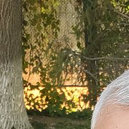 , 59 , 