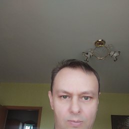 , 50, 