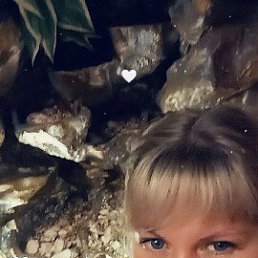 �������, 36 ���, �������