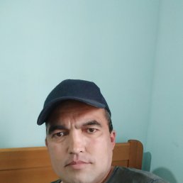 ���� �������, ������, 43 ���� - ��������� 13 ����� 2026