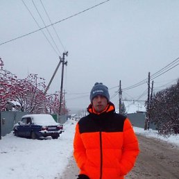 ������, ���������, 40 ���