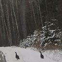 ���� �������, �����������, 53 ���� - ��������� 19 ������ 2024