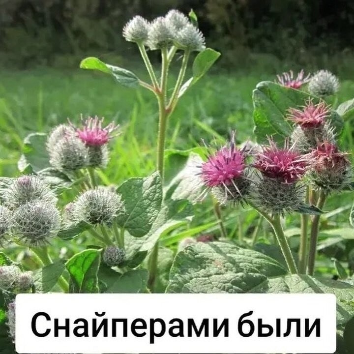    ,  -    !!! - 2
