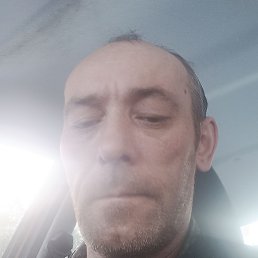 ����, ����, 41 ���