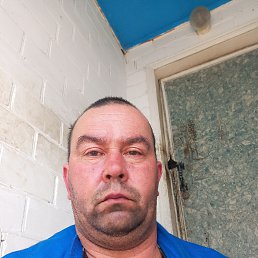 ���������, 48 ���, ����