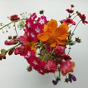 ���� �����, ����, 67 ��� - ��������� 15 ���� 2025 � ������ �������