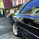 ���� ��������, �������, 55 ��� - ��������� 2 ���� 2024 � ������ ������ ��������