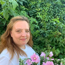 �������, 27 ���, ��������