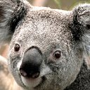 ���� �������, ���������, 20 ��� - ��������� 19 ������ 2024 � ������ ���� ����������