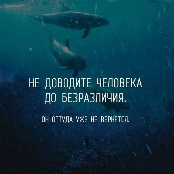   - 22  2024  15:33