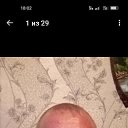 ���� ������, ����, 42 ���� - ��������� 2 ������ 2026 � ������ ���� ����������