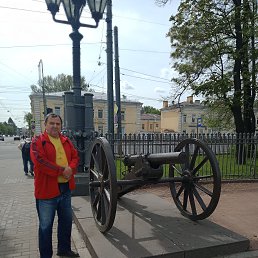 , 61, 