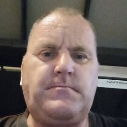 ������, �����, 46 ���