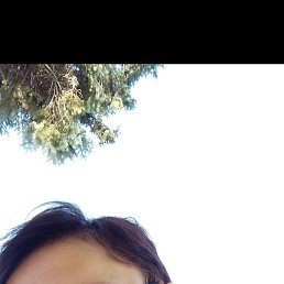 , 56, 