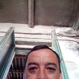 , 43 , 