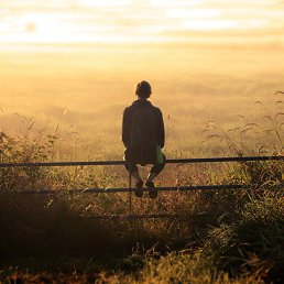 ���� ������, �����������, 51 ��� - ��������� 12 ������ 2024