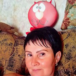 , 53, 