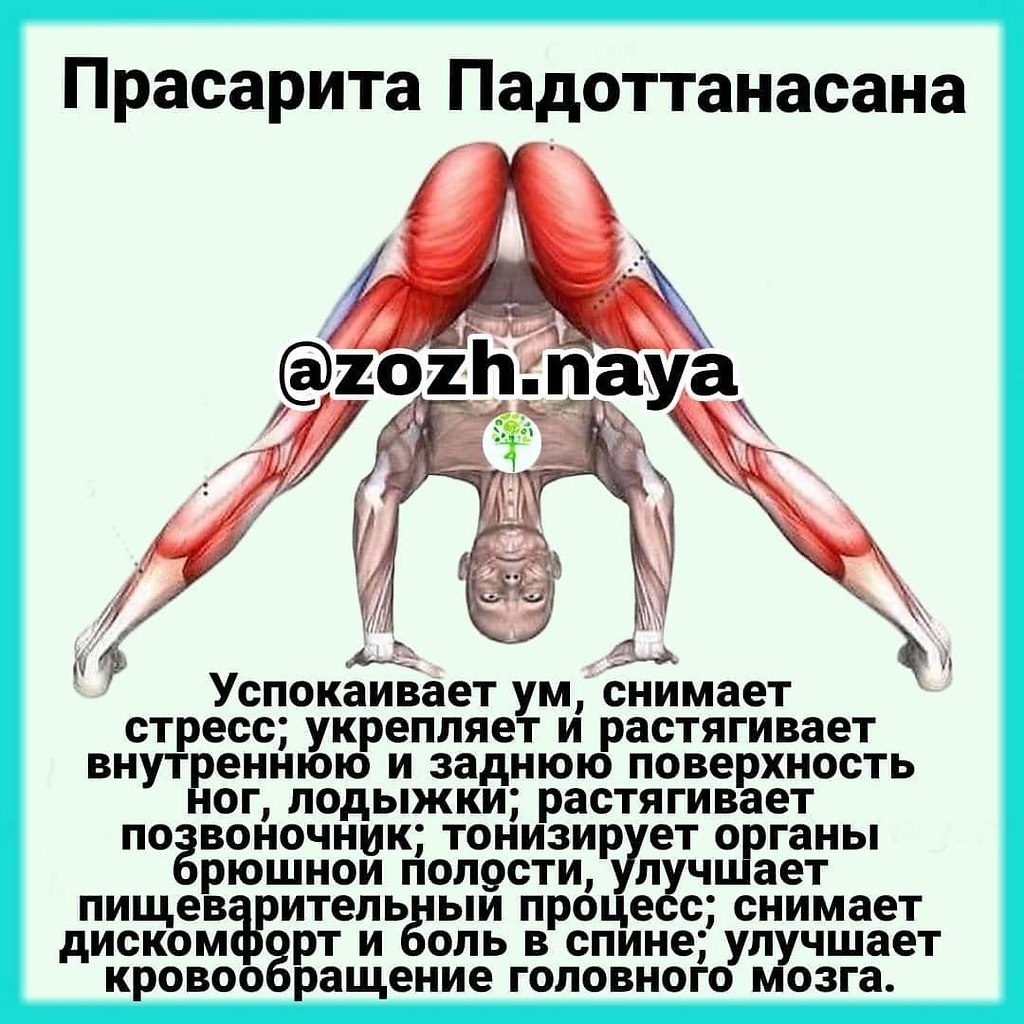 ��������� �������������.����������� ��, ������� ������; ��������� � ����������� ���������� � ������ ...