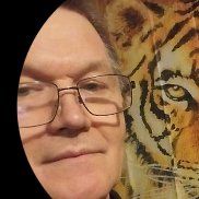 , 65 , 
