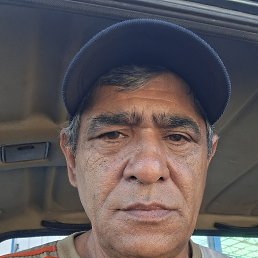 , 52, 