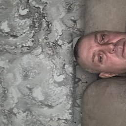 ������, ���������, 46 ���