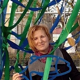 �������, �����-���������, 41 ���