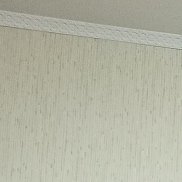 ������, 46 ���, ������