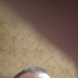 �������, 49 ���, ������