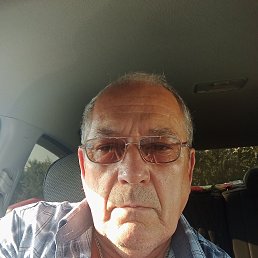, 65, 