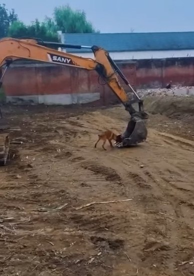 ������ ����.������ ����� �� ������ ���� ������� ��������