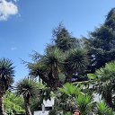 ���� Hina, ������ ��������, 69 ��� - ��������� 26 ������� 2023 � ������ ���� ����������