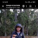 ���� Timur, �������, 48 ��� - ��������� 8 ���� 2024 � ������ ���� ����������