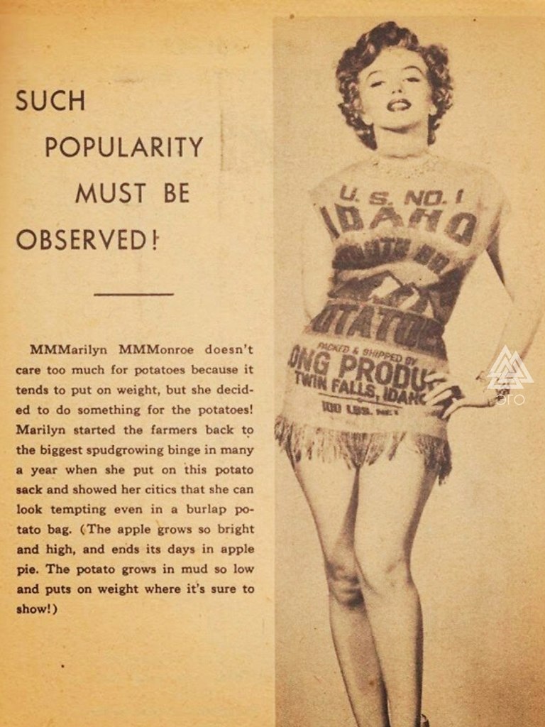   :  1951      (    ... - 3