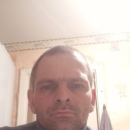 �����, 35 ���, ���������