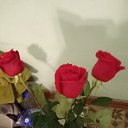 ���� ��������, ������, 55 ��� - ��������� 20 ������ 2024 � ������ ���� ����������