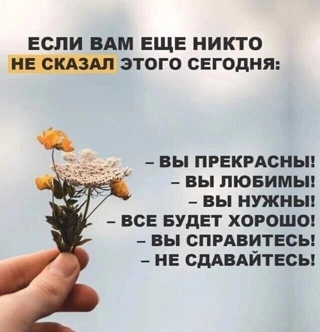 ***Victoria Viktorovna*** - 9  2025  10:16