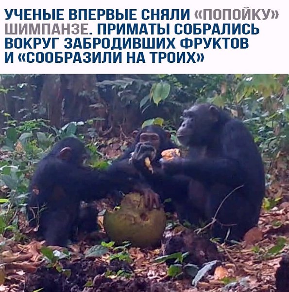 �� �e�� �-�-��������? �e�e�o����e �a���
