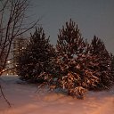 ���� �������, ������, 58 ��� - ��������� 12 ������� 2026 � ������ ���� ����������