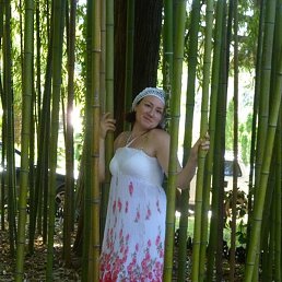 �������, ���������� �����, 41 ���