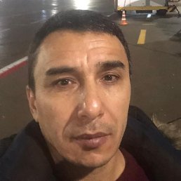 ����, ���������, 44 ����