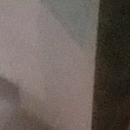 ������, ��������, 39 ���