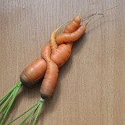 ����, 25 ���, ������