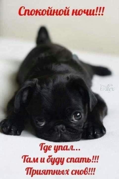   ,    . - 14  2025  21:43