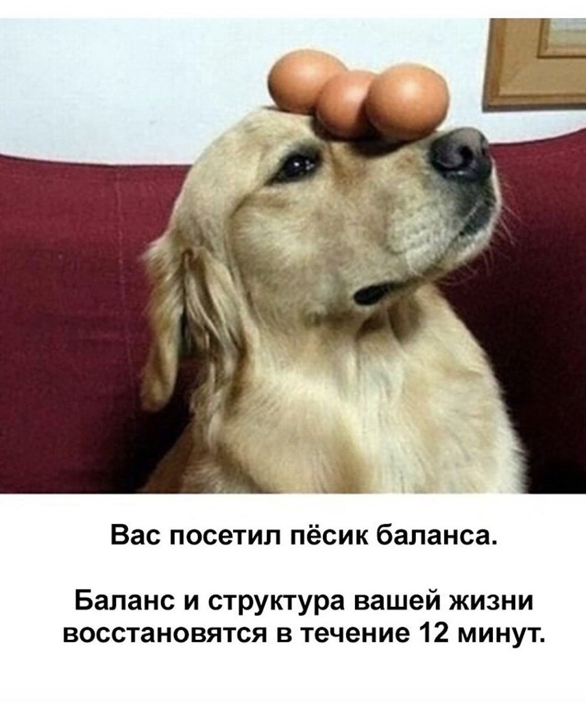    - 6  2024  08:27