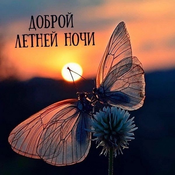   ,    . - 15  2025  21:17