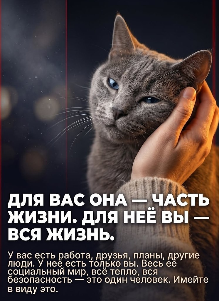 ����� ��� ������ ����� �������� ����� ��� ������ ������. ������ ����� ���������� ������� ��������� ... - 5