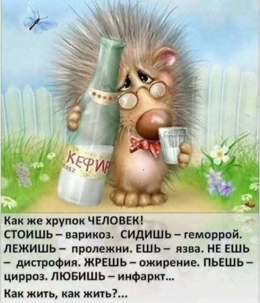 ���� ���� - 24 ����� 2026 � 07:17